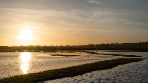 Sunset at Coombe Hill