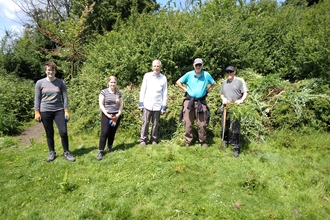 Pockett’s Orchard volunteers tackling invasive creeping thistles in July 2022