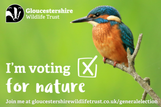A poster displaying a kingfisher and the words "I'm voting for nature"