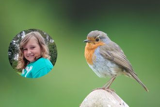 Ella and a robin