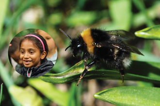 A child and a bee