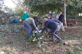 Group of young people in the orchard bramble rolling