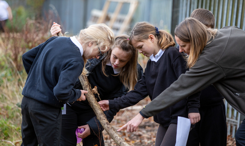 Children and member of staff looking for bugs under a log