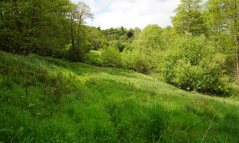 A sloping grassland meadow in the foreground with trees in the background