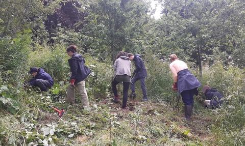 Group of young people clearing dock and brambles from the orchard