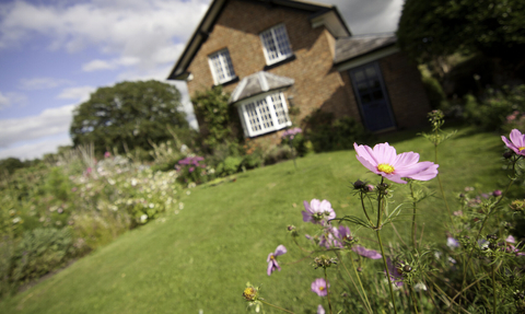 garden with a large lawn and borders full of wildflowers, with a cottage in the background