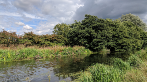 Stroud Canal