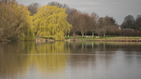 View across Roundhouse lake