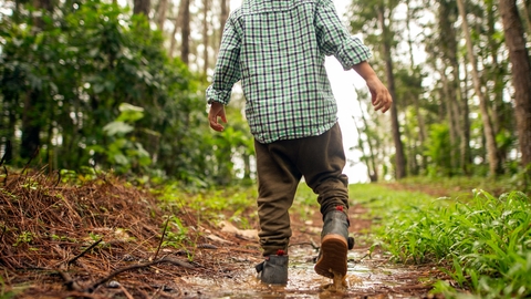 Anonymous little boy walking on dirty path in forest