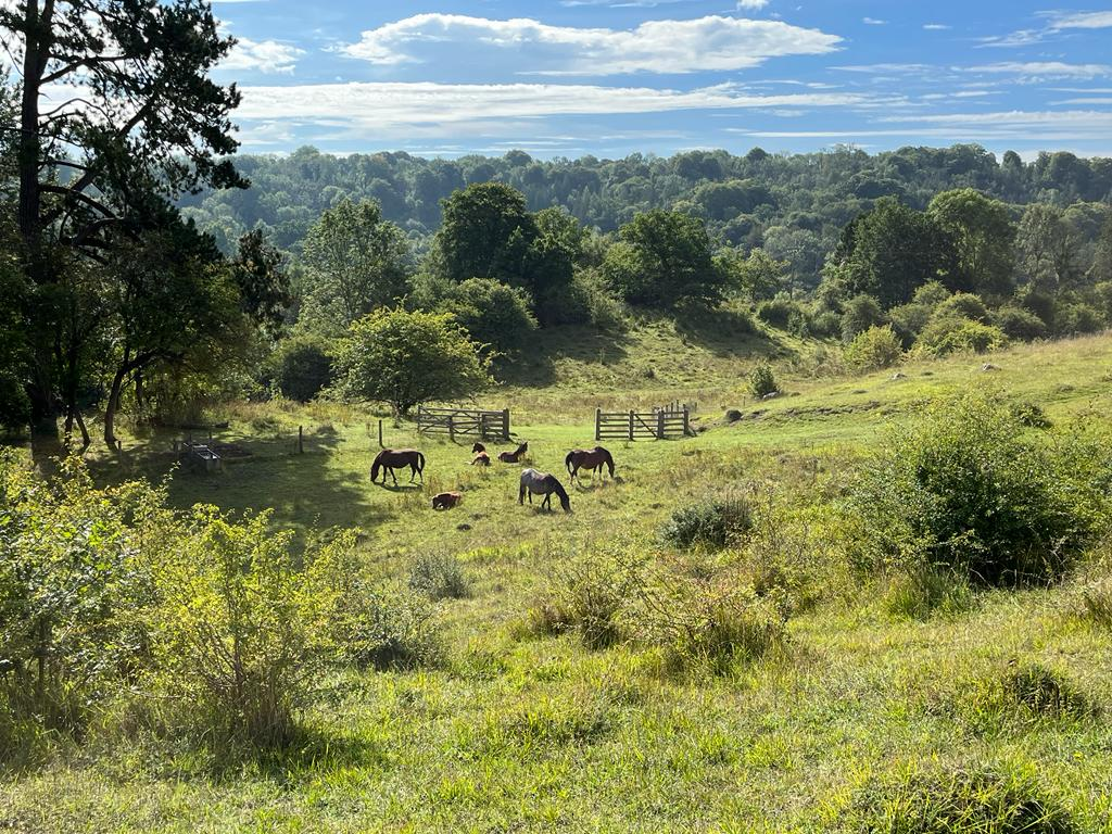 Home | Gloucestershire Wildlife Trust