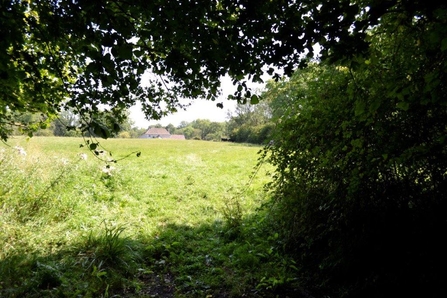 Lower Woods Stanley Orchard