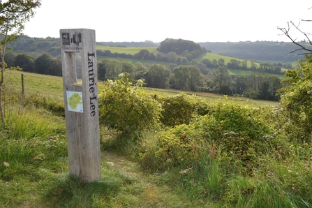 Laurie Lee Woods - Start of walk