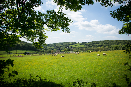 Laurie Lee Wildlife Way