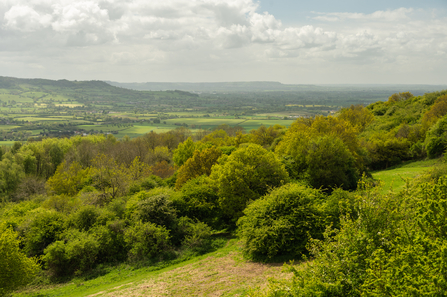 Robinswood Hill by Nathan Millar