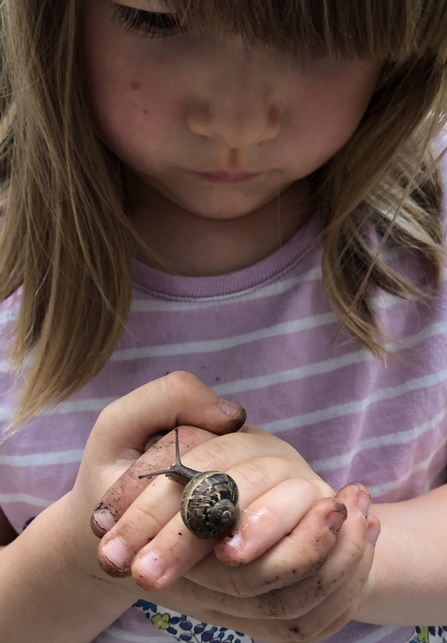 Snail inspection 