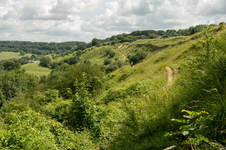 Trails at Crickley Hill 