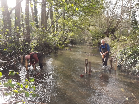 Large woody debris deflectors, Painswick Stream