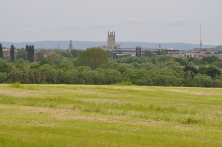 A view of the city from the Eco Park with the cathedral in the centre