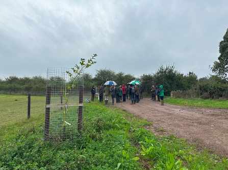 A young tree and a group of people being led on a walk