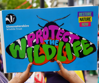 Restore Nature Now GWT Placard