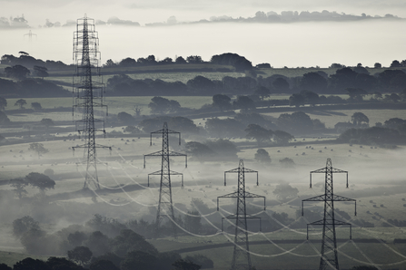 Electricity pylons in a countryside landscape