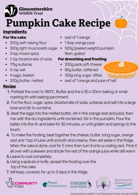 Pumpkin cake recipe