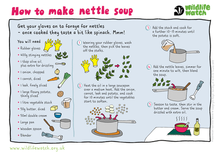 How to make nettle soup