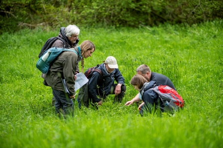 HabiMap Volunteer Group at Siccaridge Wood Nature Reserve