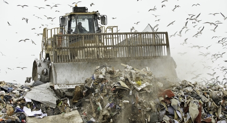 A landfill site with gulls flying overhead