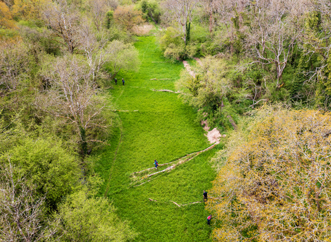 Aerial view of wooded valley with lush meadows