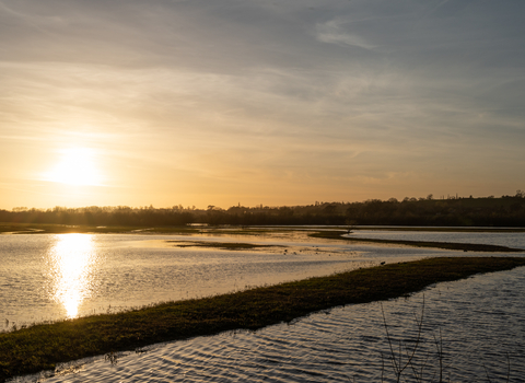 Sunset at Coombe Hill