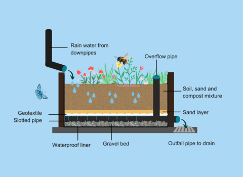 Rain Garden diagram