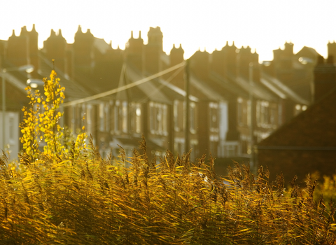 Houses in autumn