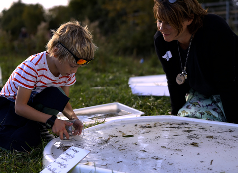 Claire watching a child investigating creatures found in the river eye