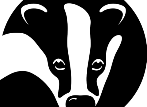 Badger logo pin drop