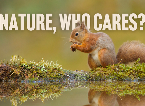 nature who cares - smaller header