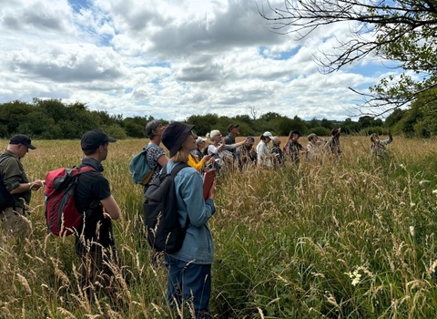 Picture of HabiMap  volunteers surveying at Greystones Farm Nature Reserve